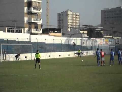 OLARIA  0x0  AMERICA. FSCELIO