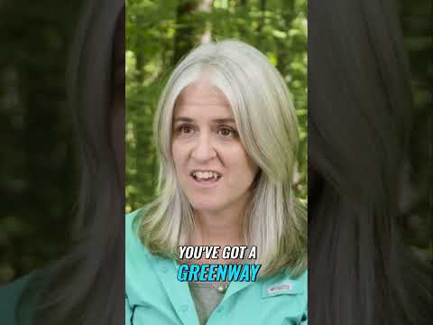 The Complete Guide To Bird Watching | Secrets Revealed