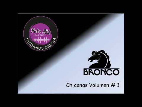 Bronco chicanas Mix 1, Sus mejores canciones chicanas, sus inicios, Mix Studio!!