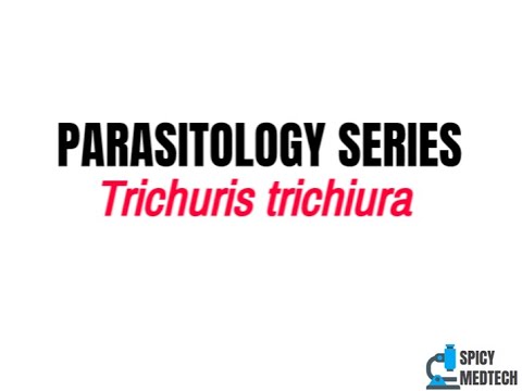 Típusú trichocephalus, Helminták tünetei trichocephalosis Trichocephalosis típusú betegség