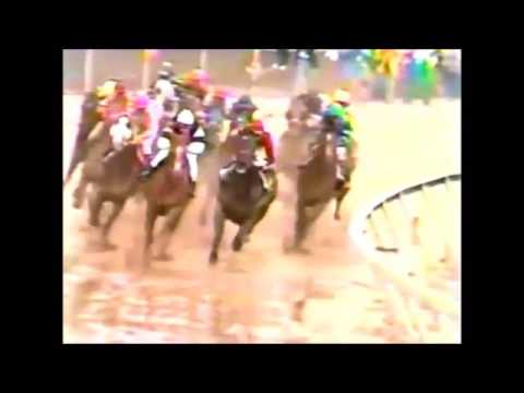 Preakness Stakes 1983 - Deputed Testamony