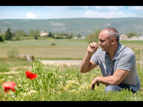 BRESSO-Frischkäse, Interview mit unserem Kräuterbauer Laurent