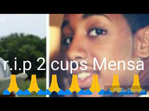 Savage sheen - Mensa (tribute to 2cups