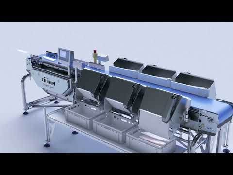 Marel Compact Grader