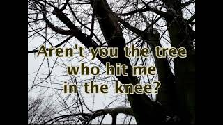 Aren't You the Tree Who Hit Me in the Knee