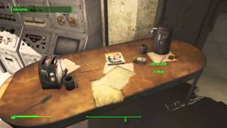 Fallout 4_Live & Love