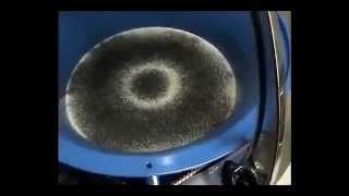 Cymatic Experiments on Harmonics, atomic alignment & sacred geometry