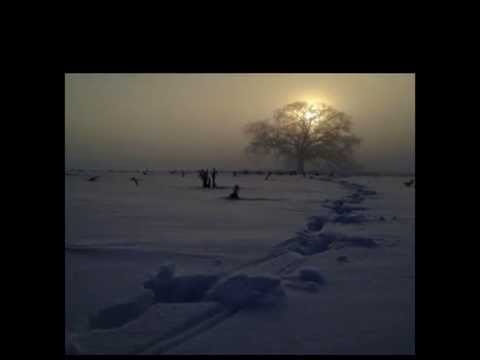 " legenda" de Virgil Mazilescu (Poetry reading/Romanian Poets)