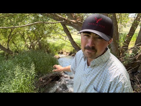 Water Master!? What is that?