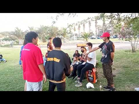 DEMIURGO THOM VS NH SINCLAIR