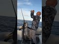 Swordfish Is No JOKE