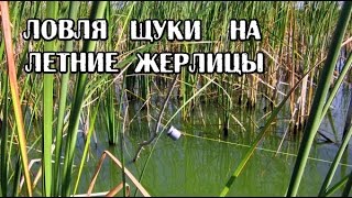Все ловле щуки на самоловки