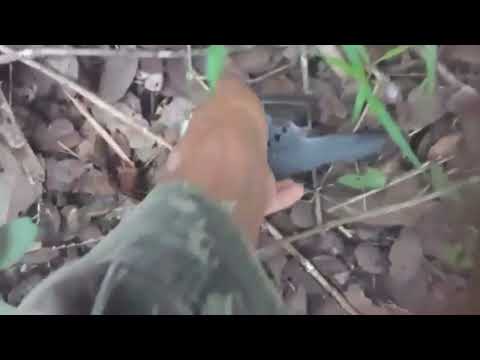 mais um resultado na caçada de hoje 🙈😮😀