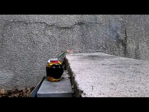 Mayonnaise bomb in slow motion VERY SATISFYING! !