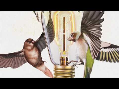 Beautiful Life (Acoustic) Official Audio