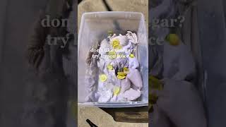 CHEERS TO NO BLEACH HOUSEHOLDS!👏🏽🤍🌎💧✨ #ecohome #allnatural #allnaturalcleaning #nontoxicliving