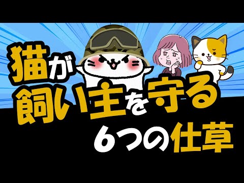 猫は飼い主を守れるのか?