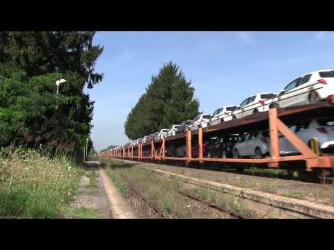 Chignolone con D445-1070