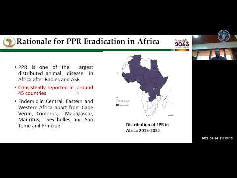 Pan African PPR eradication programme and the control of other priority small ruminant diseases