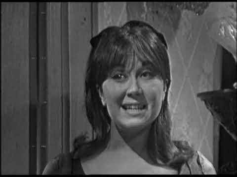 Mr Rose Series 1 Episode 1 (1967) The Black Beast