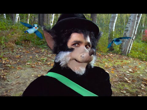 Os Três Porquinhos (voz em português)