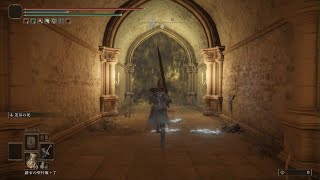 ELDEN RING　ただのゴリ押シンクロ