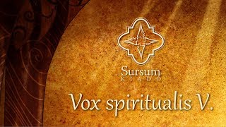 Vox spiritualis V. - Nemlét és önmagában-valóság