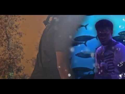 Lit Yoshi - Cutta (Official Music Video)