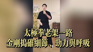 老架一路——金刚捣碓细节、劲力与呼吸 | Taichi Laojia Yilu – Jingang Dao Dui Power & Breathing