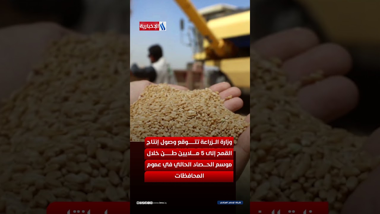 فيديو | الاكتفاء الذاتي مستمر للعام الرابع متواليا