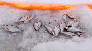 Отчеты о рыбалке за апрель свердловской областика