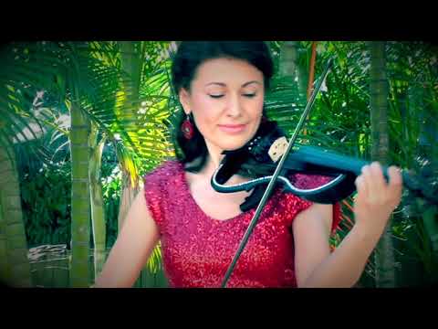 Miley Cyrus - "Wrecking Ball" (violin cover)