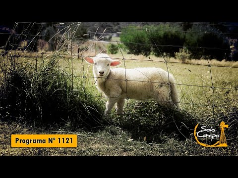 Solo Campo Nº1121 - Marzo 2023