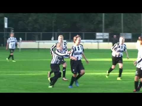 VVIJ   Geel Wit 8 oktober 2016