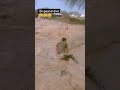 Log Kahete Hai Main Sharabi Hu Funny Videos