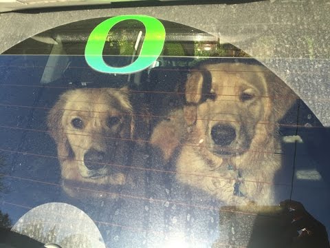 Car Wash Wonka-Style