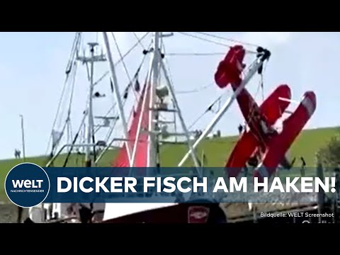 NORDSEE-NOTLANDUNG: Dicker Fisch am Haken! - Rettung in letzter Sekunde von Doppeldecker-Piloten
