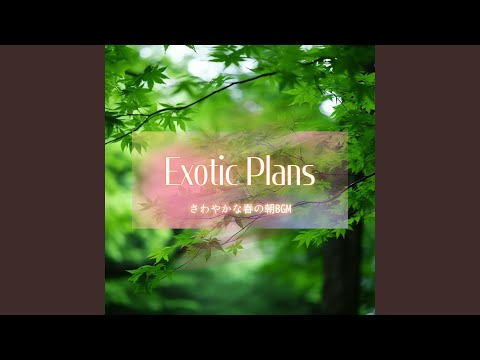 デザイナー テラス スクリーン: この夏、かわいらしく親密な屋外のオアシスを作るための 15 の装飾アイデア  庭園