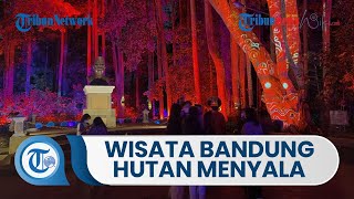 Melihat Hutan Menyala Bandung, Gabungkan Konsep Wisata Alam dengan Teknologi dan Seni