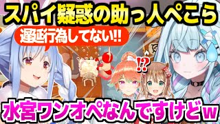 【ホロ新春ゲーム祭2026】別チームから助っ人参加のぺこら,早速スパイ疑惑をかけられて大騒ぎｗ【ホロライブ 切り抜き/水宮枢/兎田ぺこら/小鳥遊キアラ/アユンダ・リス/plateup】