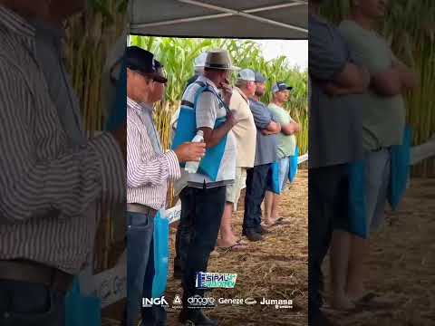 DNAgro marcou presença na Vitrini Tecnológica da SIPAL em Santa Carmem no Mato Grosso #soja #agro