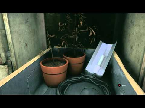 Quantum Break - Bradbury Swimming Pool: Chronon Sources, Cutscenes, Narrative Collectibles Xbox One