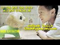 CJ7 2008 Sci Fi Movie Tamil Review Review Dial