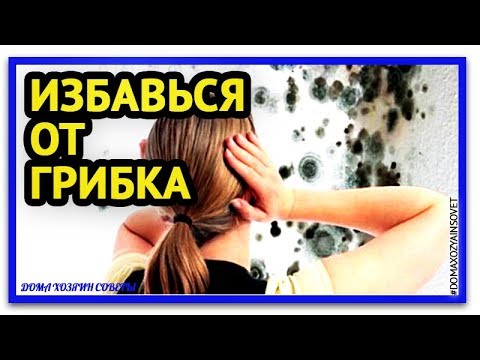 Как бороться с плесенью и грибком в ванной. Уничтожение плесени и грибка в ванной