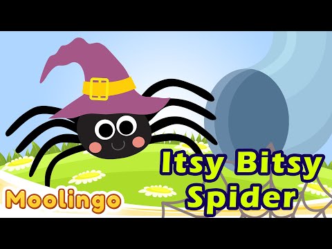 Itsy Bitsy Spider - Toddler Songs and Nursery Rhymes with Moolingo! Video