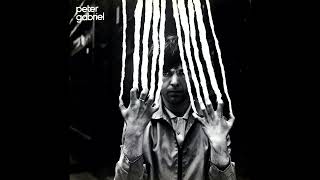 Peter Gabriel - Animal Magic