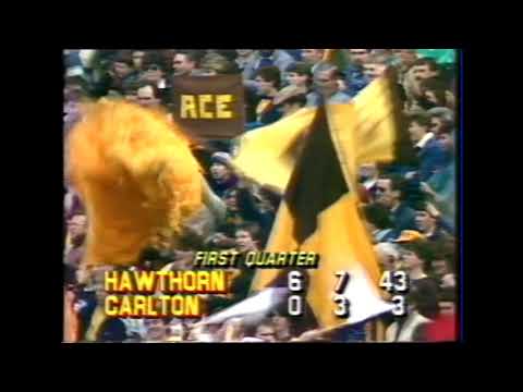 ACE - The Single Most 1980s Banner Ever - 1985 Round 21 Carlton vs Hawthorn