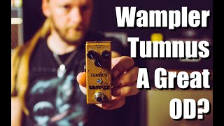 Video thumbnail for Wampler Tumnus (Is This A GREAT Overdrive?) by Elmo Karjalainen