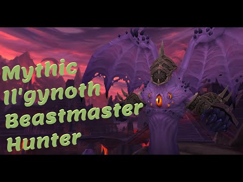 Mythic Il'gynoth Beast Master Hunter Pov