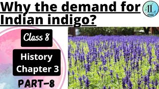 Why the demand for Indian indigo? | Ruling the Countryside | class 8 History Chapter 3 |NCERT UPSC